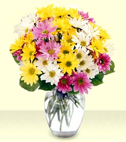 Van internetten çiçek siparişi  mevsim çiçekleri mika yada cam vazo