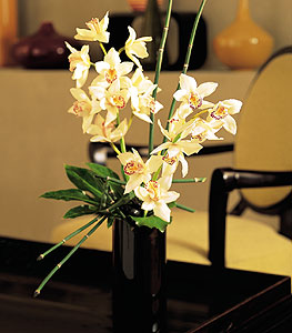  Van iekiler  cam yada mika vazo ierisinde dal orkide