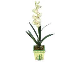 zel Yapay Orkide Beyaz   Van online ieki , iek siparii 