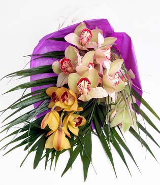  Van cicekciler , cicek siparisi  1 adet dal orkide buket halinde sunulmakta