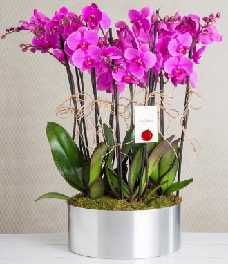 11 dall mor orkide metal vazoda  Van iek gnderme sitemiz gvenlidir 
