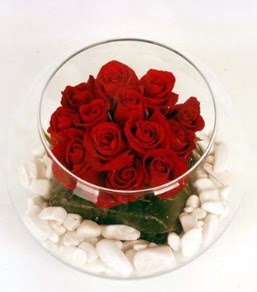 Cam fanusta 11 adet kırmızı gül  Van çiçek gönderme 
