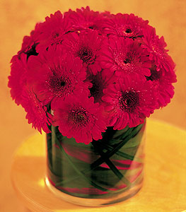  Van ucuz çiçek gönder  23 adet gerbera çiçegi sade ve sik cam içerisinde