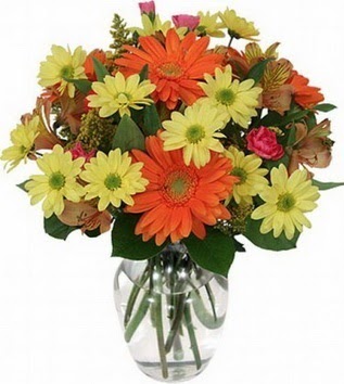  Van hediye sevgilime hediye çiçek  vazo içerisinde karışık mevsim çiçekleri