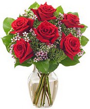 Kız arkadaşıma hediye 6 kırmızı gül  Van internetten çiçek siparişi 