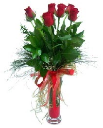 vazo içerisinde 5 kırmızı gül  Van güvenli kaliteli hızlı çiçek 