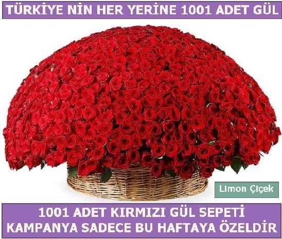 1001 Adet kırmızı gül Bu haftaya özel  Van İnternetten çiçek siparişi 