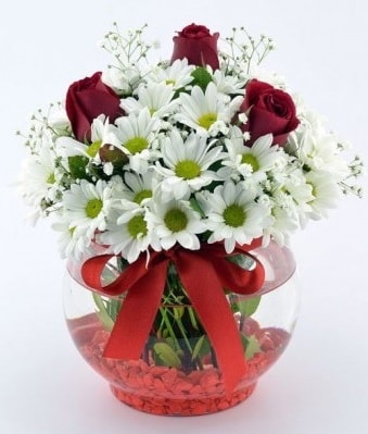 Fanusta 3 Gül ve Papatya  Van internetten çiçek satışı 